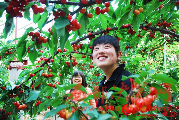 1498462467532303.jpg 2.jpg