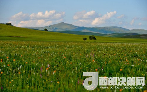 錫林郭勒草原。吳勇攝
