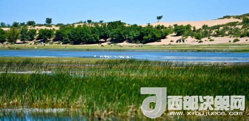 阿魯科爾沁保護(hù)區(qū)濕地沙丘。吳勇攝