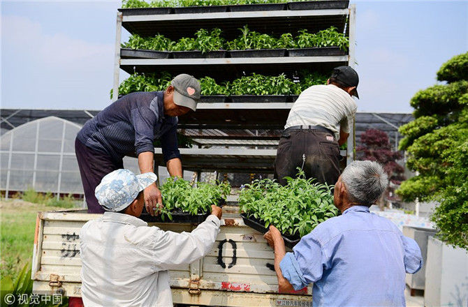 數字經濟已經成為我國經濟社會更好發(fā)展的重要推動力，也為我國鄉(xiāng)村發(fā)展提供了新的歷史機遇。（圖片來源：視覺中國）