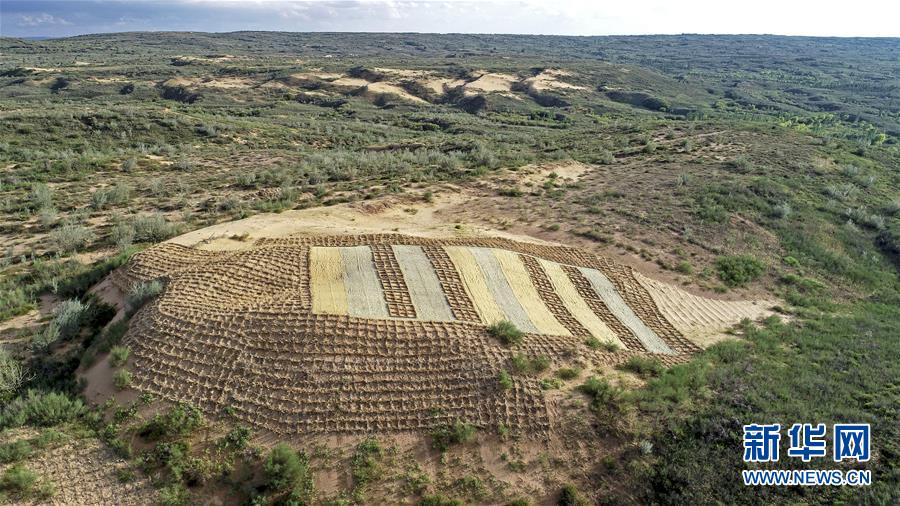 （壯麗70年·奮斗新時代——共和國發(fā)展成就巡禮·圖文互動）（6）生態(tài)美、百姓富——品讀嶄新“寧夏畫卷”
