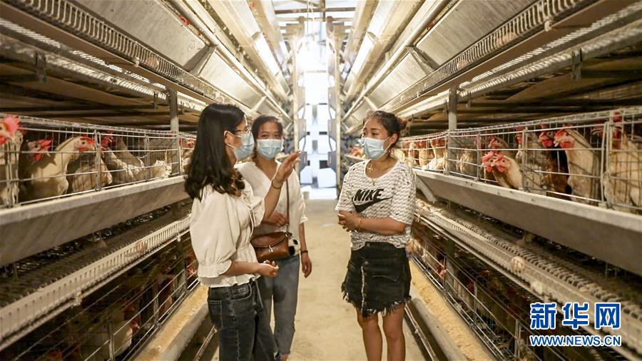 （新華全媒頭條·圖文互動）（4）基層天地廣闊 青春大有作為——聚焦“三支一扶”計(jì)劃實(shí)施十五年