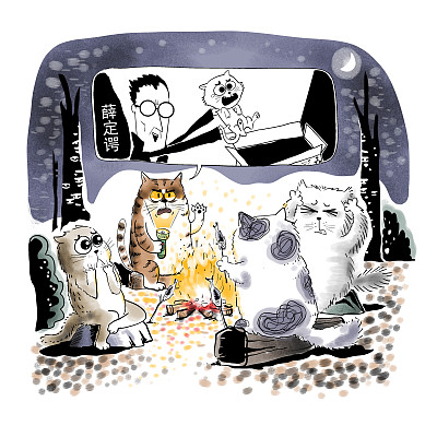 ▲物理學(xué)家薛定諤曾用一只貓比喻量子疊加。圖片來(lái)源：視覺(jué)中國(guó)