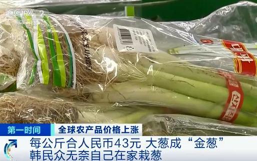 央視財經(jīng)報道截圖。