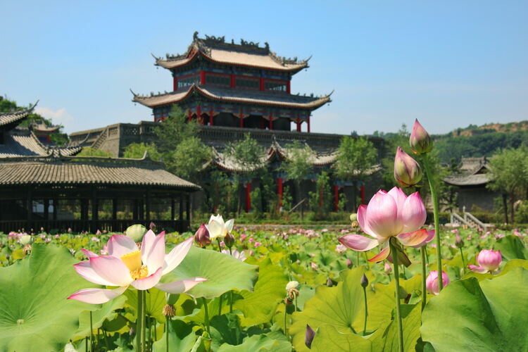 【云游渭南】心中若有桃花源，此處便是水云間！待疫情散盡，一起來渭南桃花源賞美景、觀民俗、享美食_fororder_2