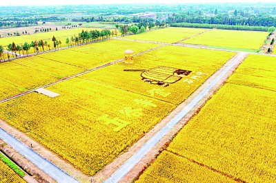 展示非凡成就 共創(chuàng)美好未來 展示非凡成就 共創(chuàng)美好未來